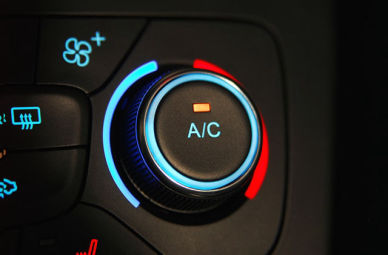 aria image